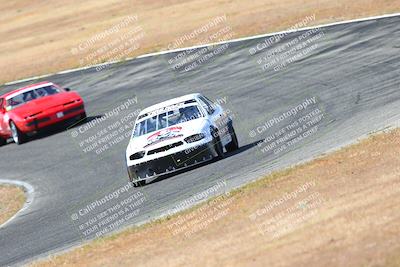 media/May-06-2023-Lucky Dog Racing (Sat) [[8f2256f436]]/Turn 2 10a/